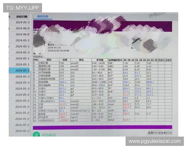如何通过PG化验所官网电话联系客户服务解决游戏中遇到的各种问题